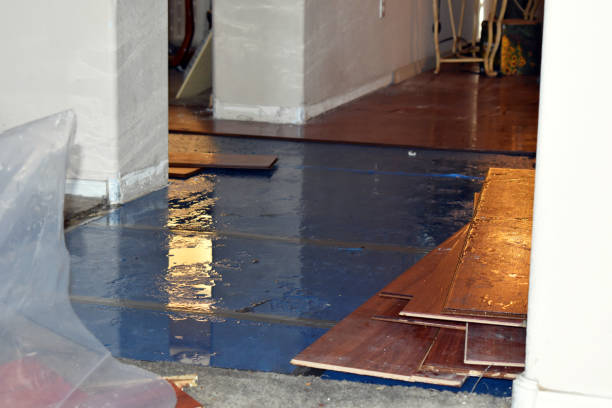 Professional Storm Water Damage Restoration technician working in Sadieville, KY